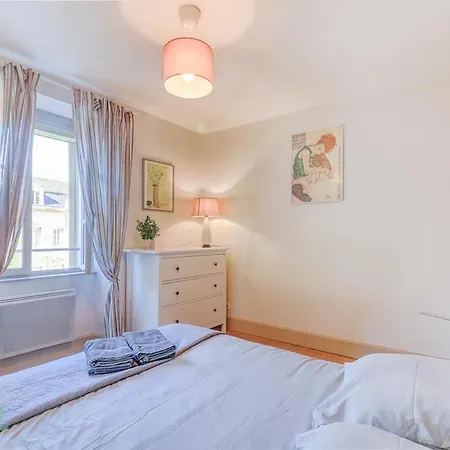 Apartment Le Petit Monge Ultra Centre Place Emile Zola Dijon