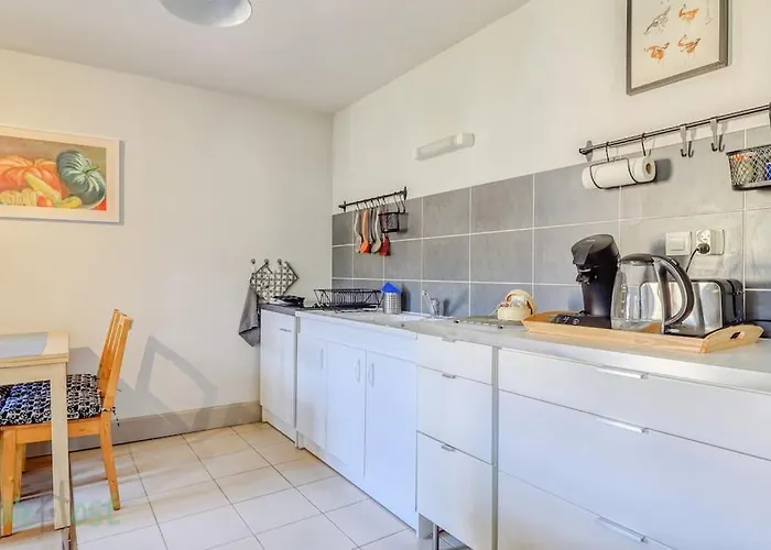 Apartment Le Petit Monge Ultra Centre Place Emile Zola *