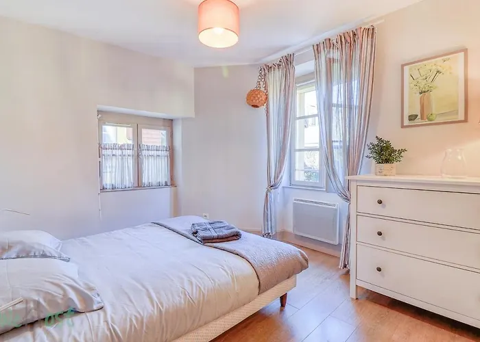 Apartment Le Petit Monge Ultra Centre Place Emile Zola Dijon